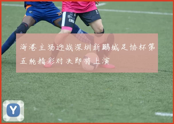 海港主场迎战深圳新鹏城足协杯第五轮精彩对决即将上演